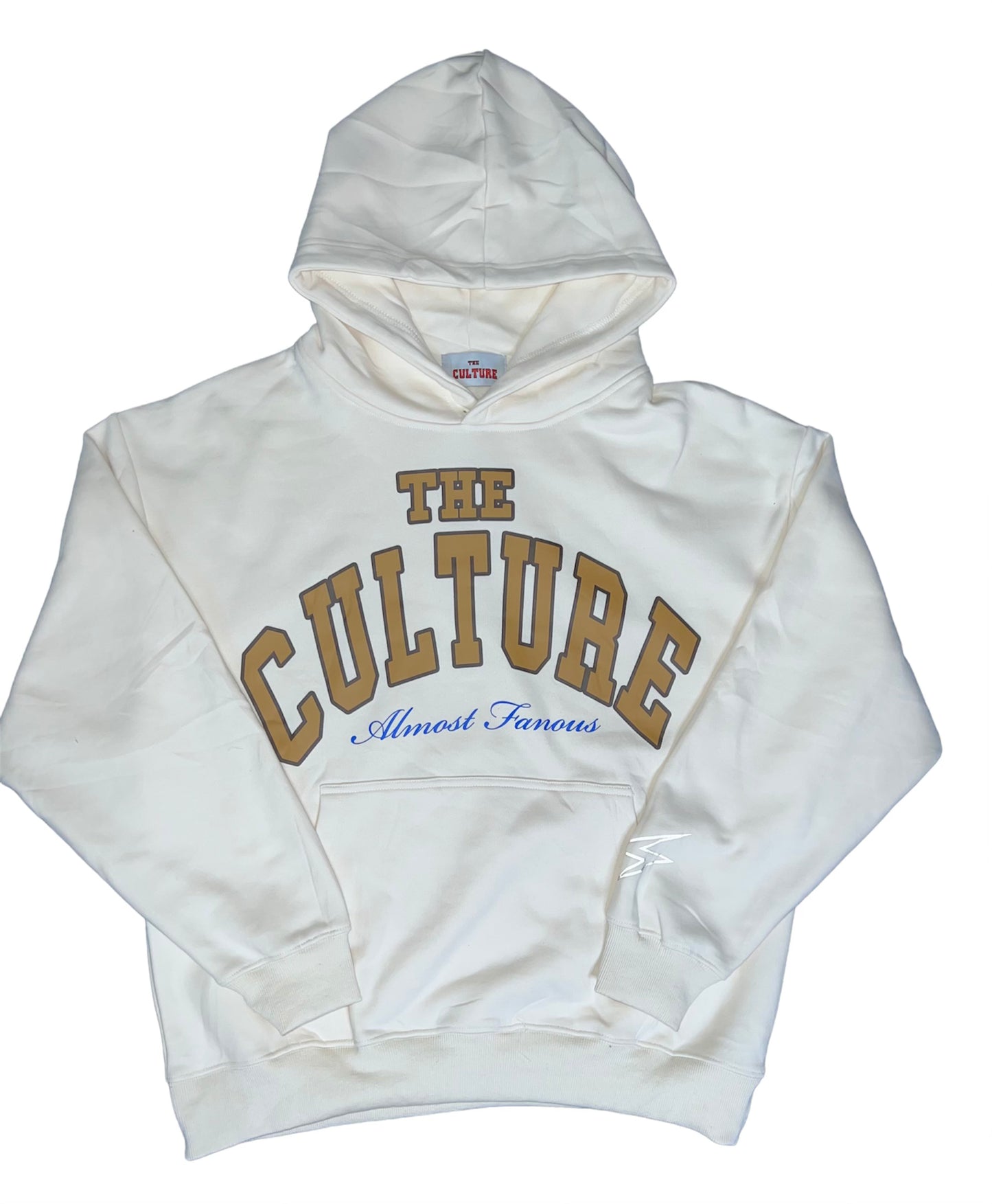 ALMOST FAMOUS HOODIE